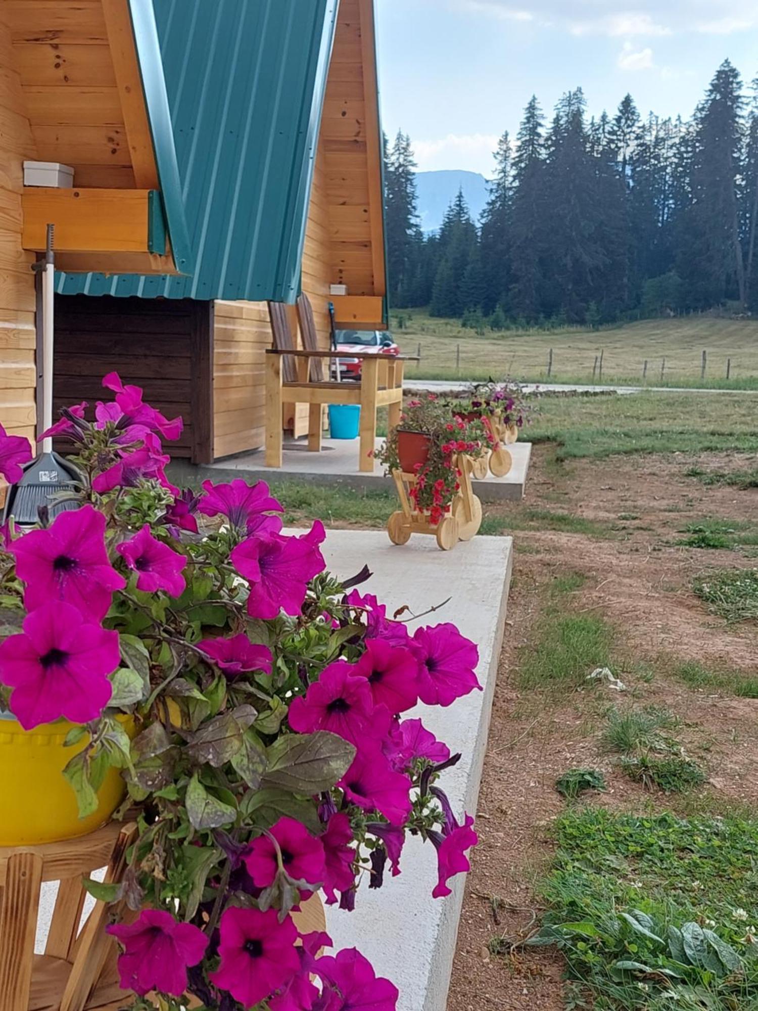 Sumski Raj Zabljak  Ruang foto
